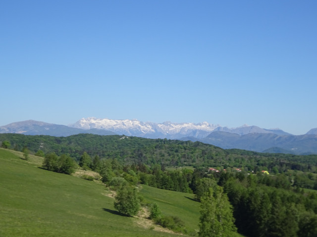 DSC04824.jpg