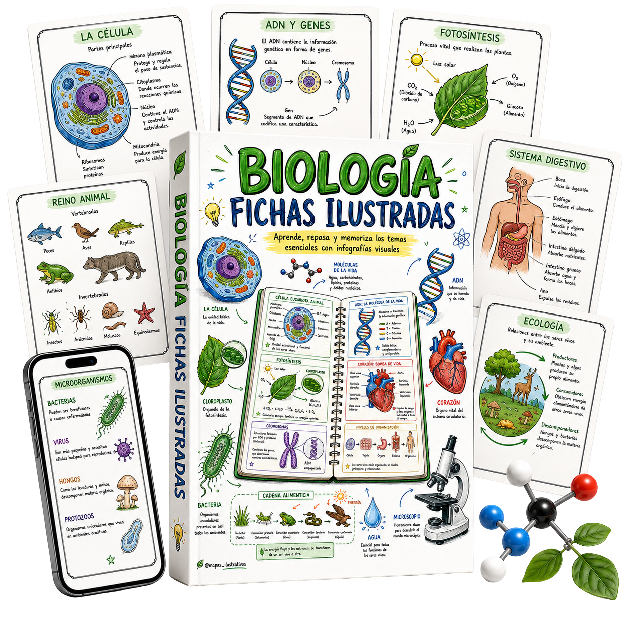 Pack de fichas ilustradas de Biología