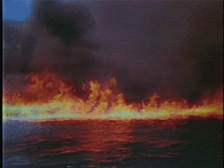 image.gif