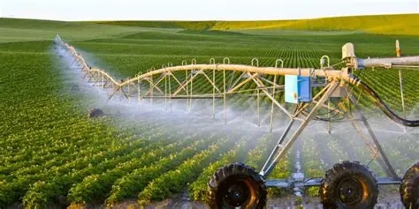 بعد العقارات ..  رأس المال الإماراتي بتطوير الاستثمارات الزراعية في سوريا