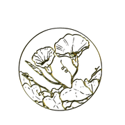 MS-gold-element-72