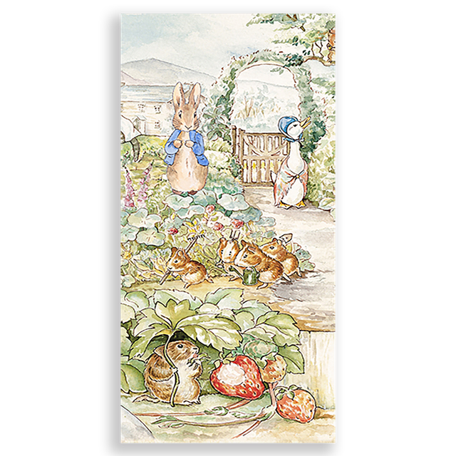 31001494-Peter-Rabbit-Ana