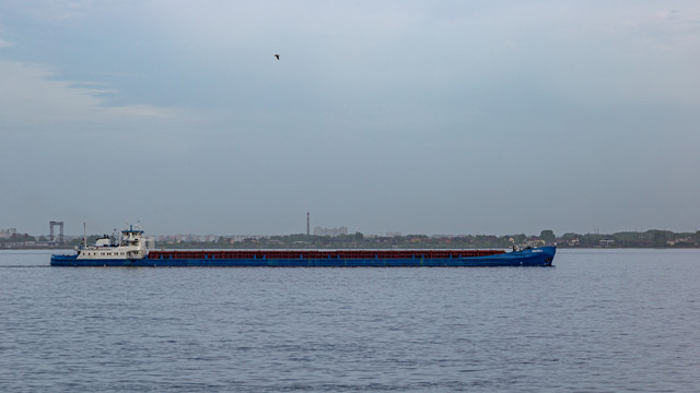 IMG 0889.jpg