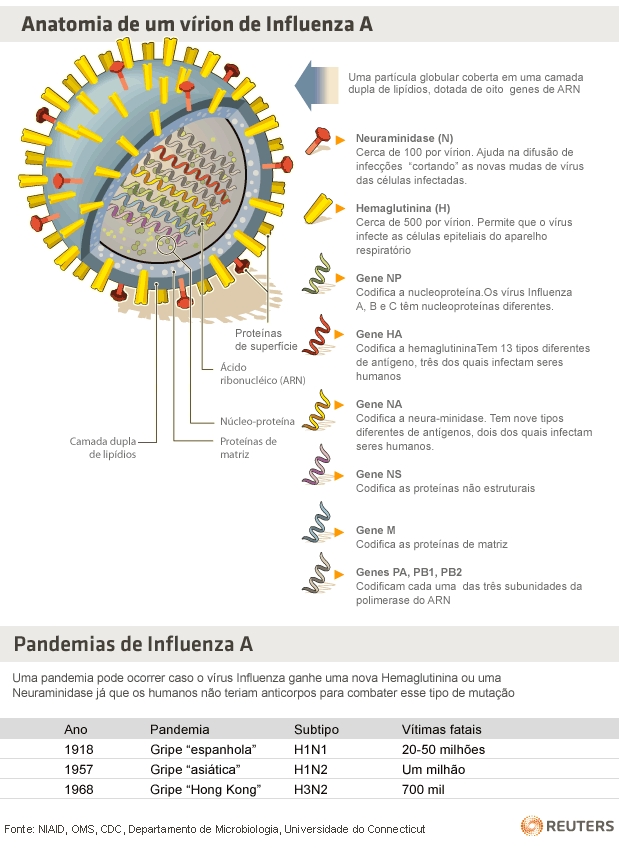 Vírus Influenza Tipo A | Fisioterapia: O toque que move a vida ...