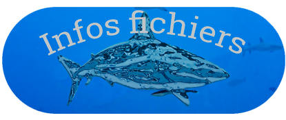 infos-fichiers.png