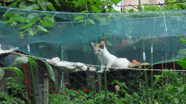 IMG-8941