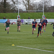 DSC 0201