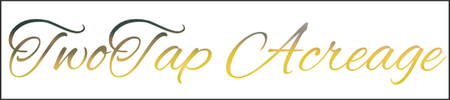 Banner-20241028103518.png