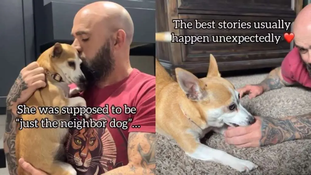 Canine Comforts Grieving Family
