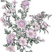 91e727870db4afb537fdfae6d61981d2