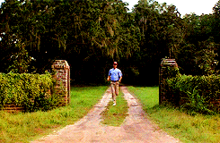 forrest.gif