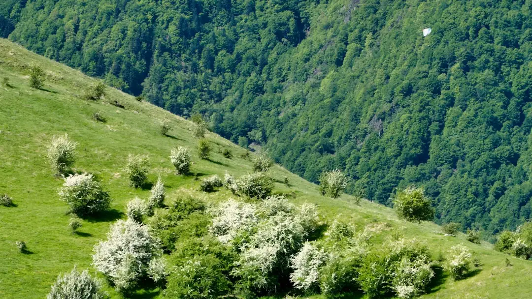 Horoscopul pentru marţi, 11 august 2026 – Previziuni și instrumente astrologice