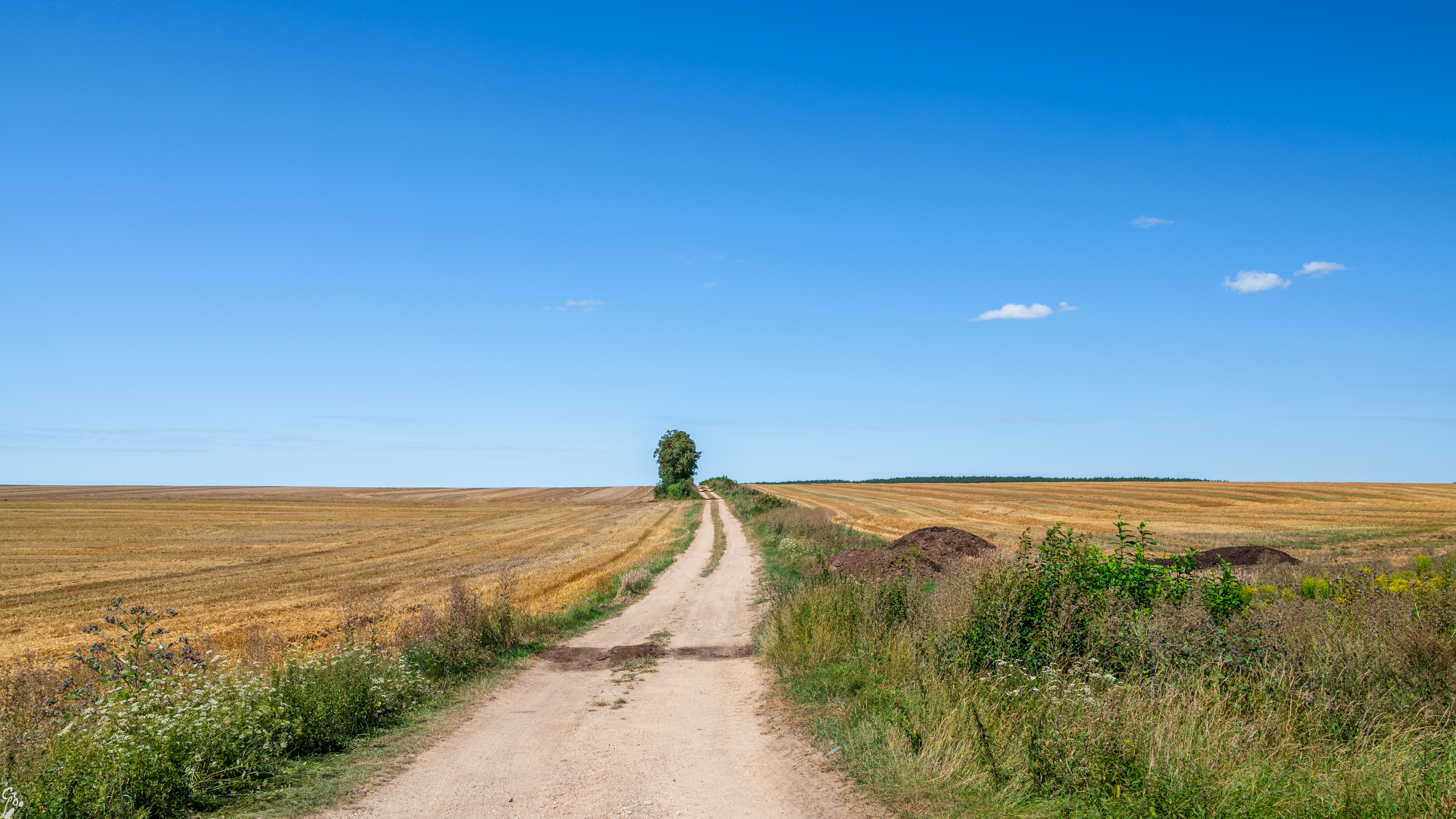 podlasie3 d1 08
