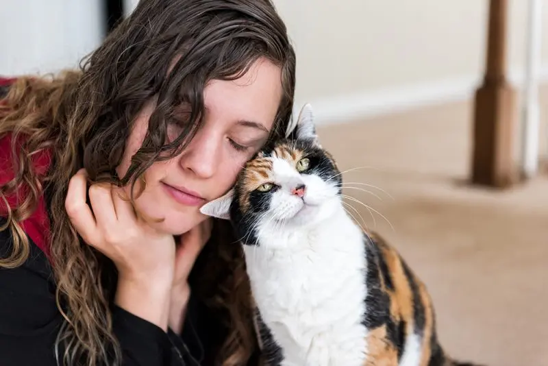 Weird Cat Behaviors Explained