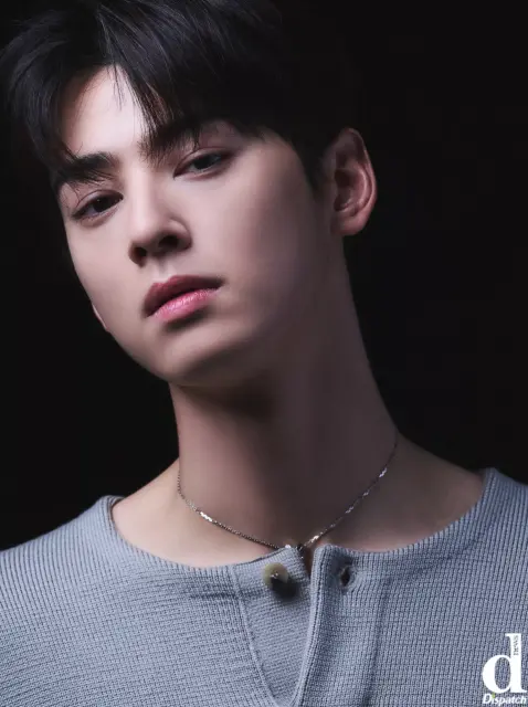 cha eun woo 1252849