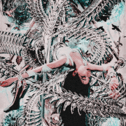 0010.gif