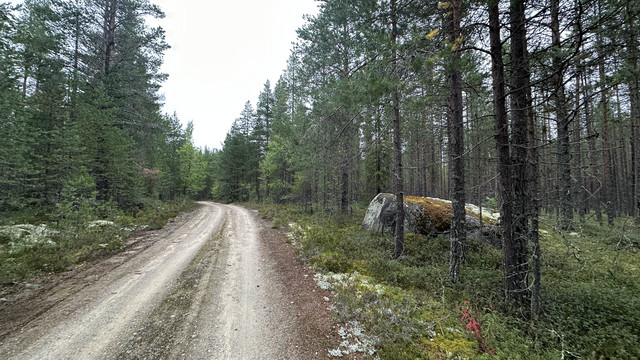 IMG 4983.jpg
