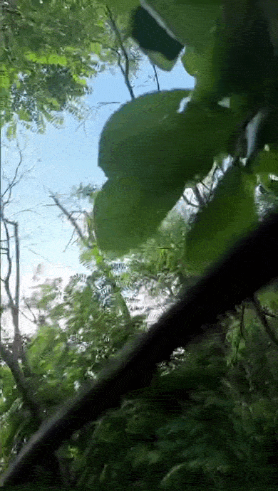 https://i.ibb.co/tPYgV2bk/ezgif-7f75f7257eb730de.gif