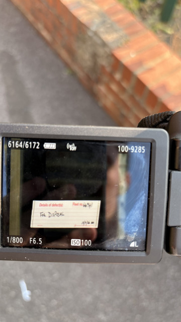 IMG 3997