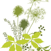 01-929