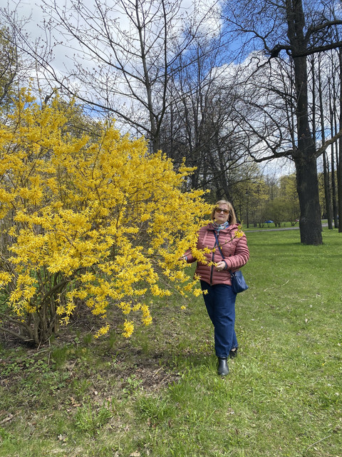 IMG-7194