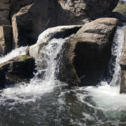 IMG-6168