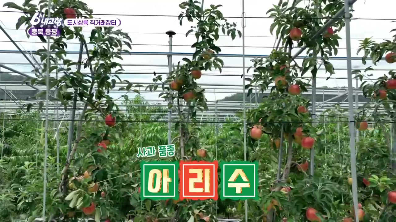 6시내고향 도시상륙 직거래장터 증평 아리수 추가 캡처 1