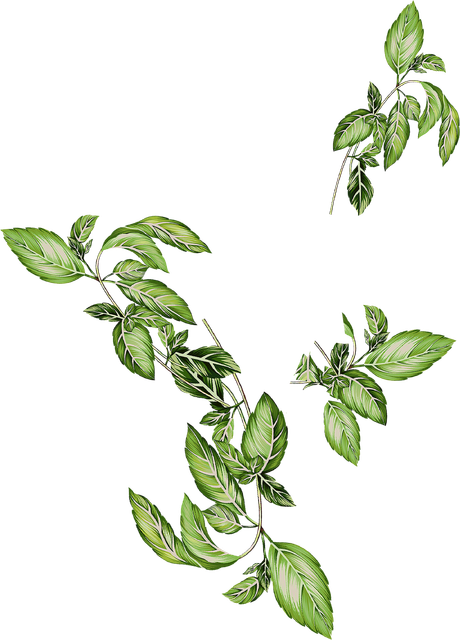 Untitled 13.png
