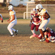 IMG-1663