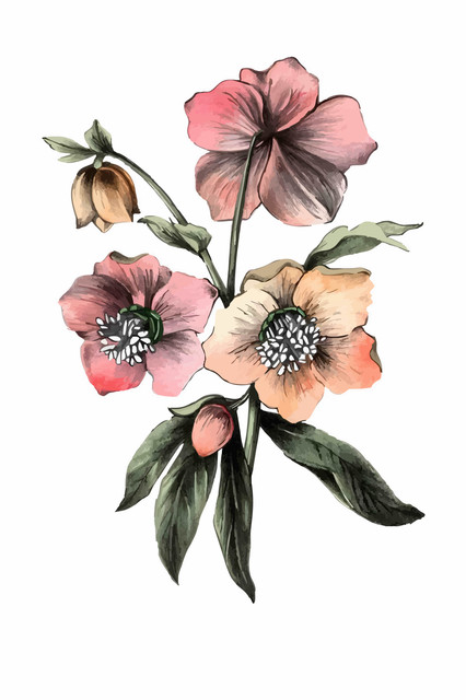Hellebore Floral Composition.jpg