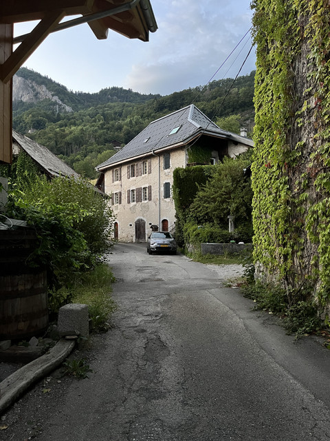 IMG 8960.jpg