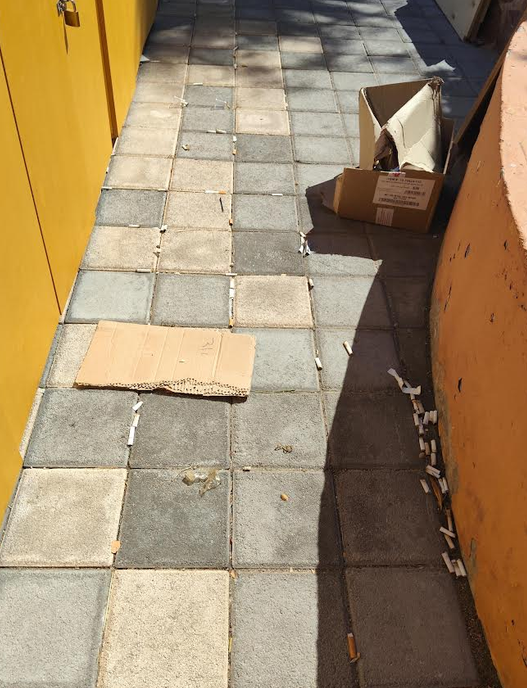 ΓΕΜΑΤΟ ΣΚΟΥΠΙΔΙΑ ΤΟ ΛΙΜΑΝΙ – ΟΙ ΑΡΜΟΔΙΟΙ ΠΡΟ ΤΩΝ ΕΥΘΥΝΩΝ ΤΟΥΣ  (ΦΩΤΟ)