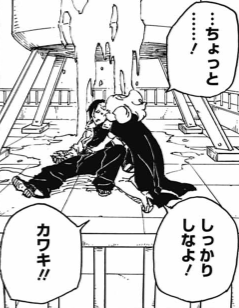 47.webp