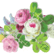 0-827cd-a4e61d67-M
