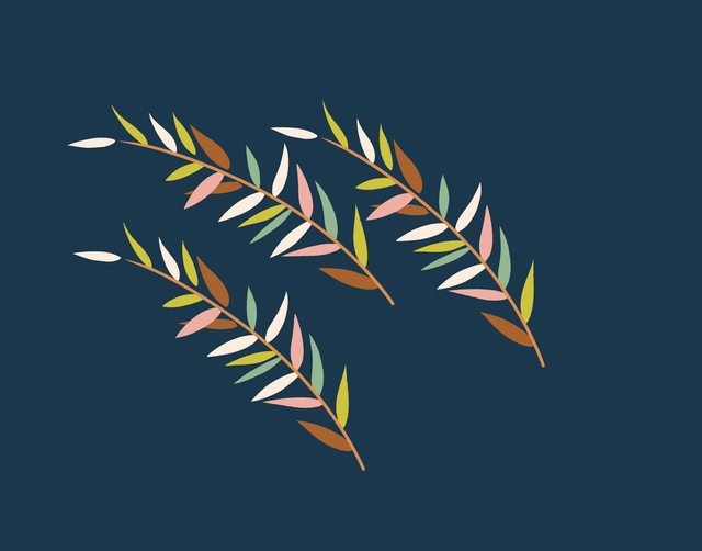 155.png