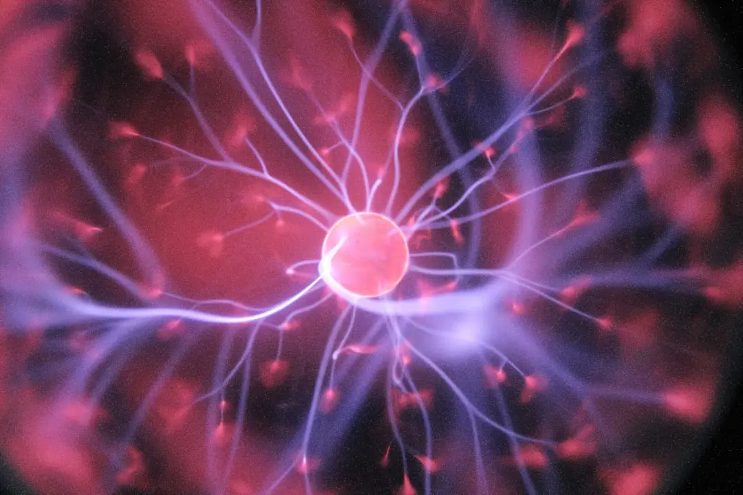 SSRI-urile împing neuronii de serotonină în direcții opuse