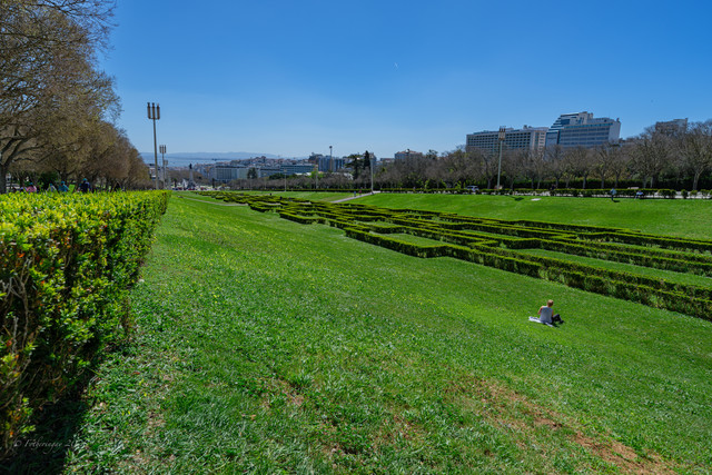 DSF5453.jpg