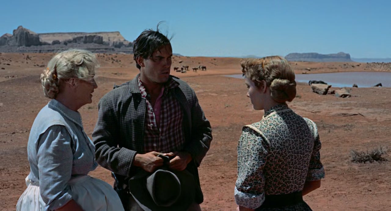 The Searchers Screenshot