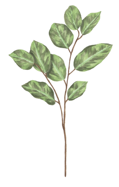 FLOWER-40-Copy.png