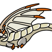 Pearl Armorback
