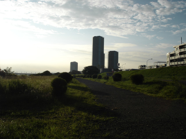 2012-07-08-11