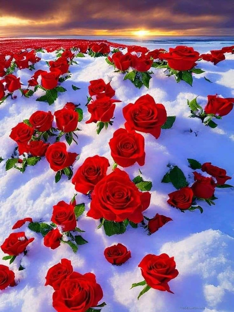 6df9c5fad2e2d0d2ff9731ae61743feb