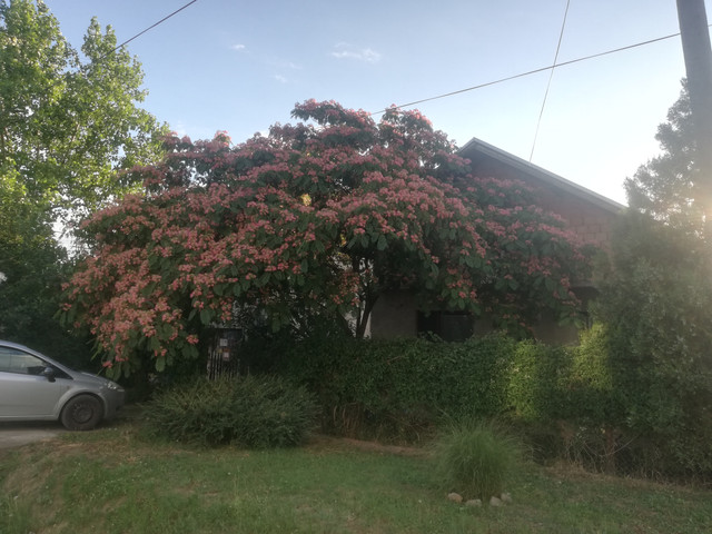 IMG-20210702-191002
