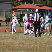 IMG-8166