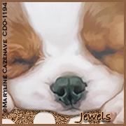 CHALLENGE-1-ROBINav-jewels