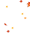 image.gif