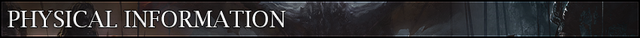 Medieval-annals-headers-physical-info.png