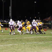 IMG-6804