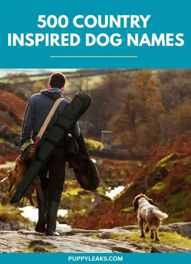 Unique Dog Names Inspired by Country Themes