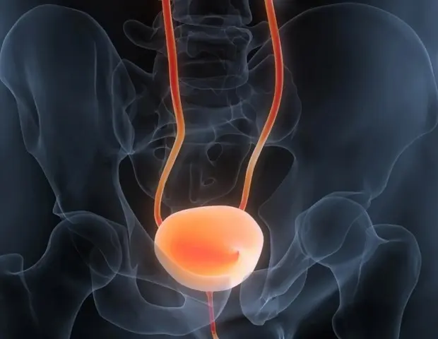 Breakthrough Peptide Suppresses Bladder Cancer